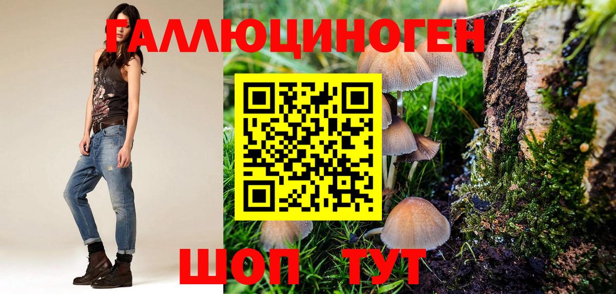 Псилоцибиновые грибы GOLDEN TEACHER Кузнецк
