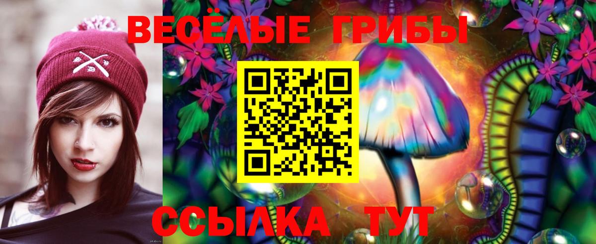 Галлюциногенные грибы прущие грибы  Вход с VPN  Кузнецк  Галлюциногенные грибы мухоморы 